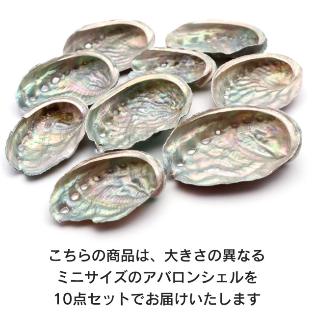 貝殻 パーツ レジン アバロンシェル 10個 サイズMix 4-6cm前後 あわび