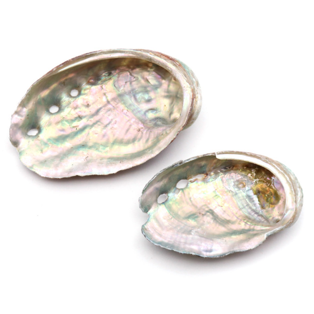 貝殻 パーツ レジン アバロンシェル 10個 サイズMix 4-6cm前後 あわび 鮑 シェル 材料 おうち時間 制作 ハンドメイド 工作 パウアシェル