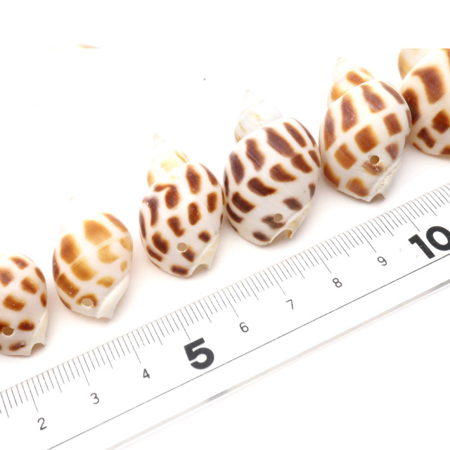 貝殻 パーツ レジン バイガイ 100g 2-4cm前後 約40個 穴あり 巻貝 シェル 材料 おうち時間 制作 ハンドメイド 工作