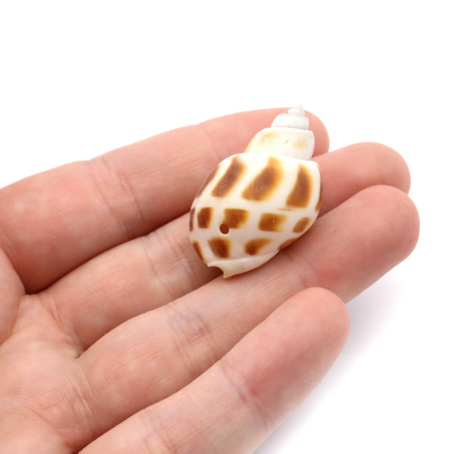 貝殻 パーツ レジン バイガイ 100g 2-4cm前後 約40個 穴あり 巻貝 シェル 材料 おうち時間 制作 ハンドメイド 工作