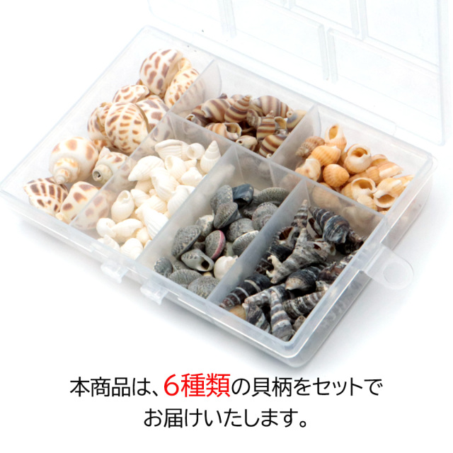 貝殻 パーツ 6種類 約150個前後 MIX シェル 材料 おうち時間 制作 ハンドメイド 工作 天然 貝 素材 巻貝 ビーチ デコ素材 Aタイプ