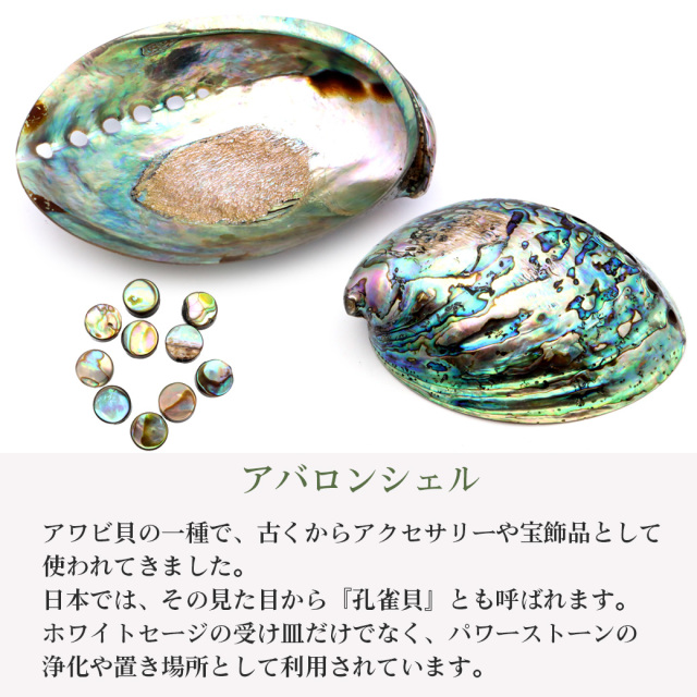 パウアシェル ビーズ 粒売り 1粒 ラウンドカット アバロンシェル 貝 アワビ 孔雀貝 制作 ハンドメイド 手作り 手芸 DIY