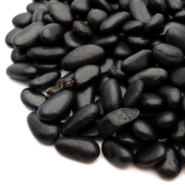 シュンガイト さざれ石 本物 チップ 小サイズ 100g シュンガ石 カレリア共和国産 フラーレン炭素 Shungite 天然石 パワーストーン