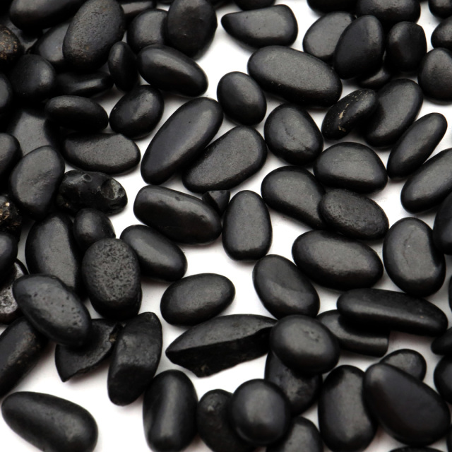 シュンガイト さざれ石 本物 チップ 小サイズ 100g シュンガ石 カレリア共和国産 フラーレン炭素 Shungite 天然石 パワーストーン