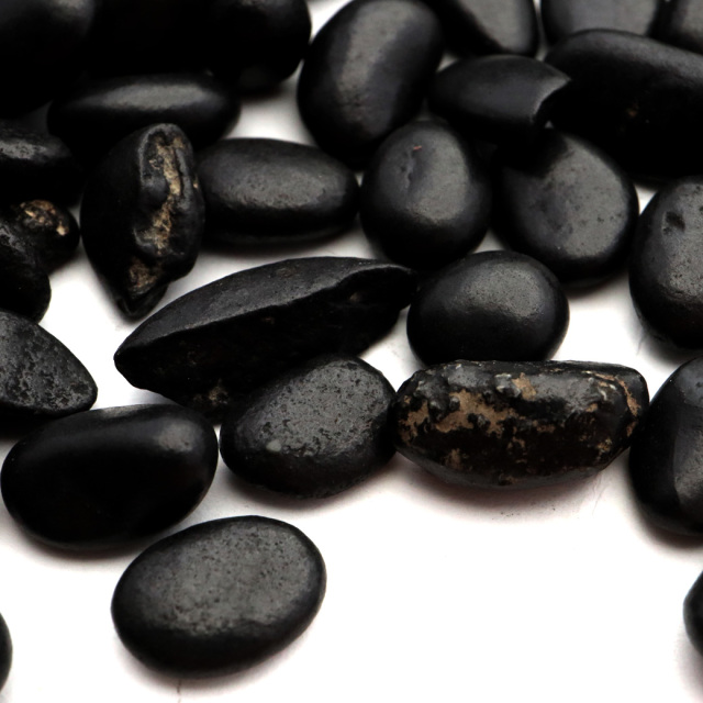 シュンガイト さざれ石 本物 チップ 小サイズ 100g シュンガ石 カレリア共和国産 フラーレン炭素 Shungite 天然石 パワーストーン