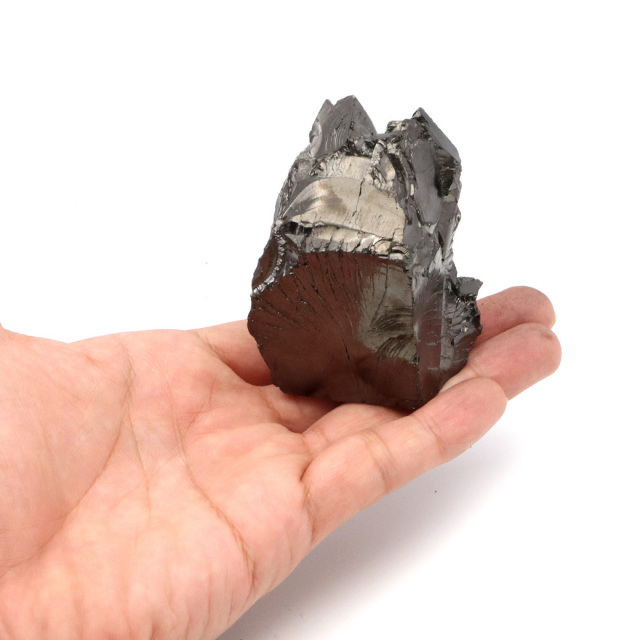 エリートシュンガイト 原石 ロシア カレリア共和国シュンガ 天然石 1点物 パワーストーン Shungite シュンガ石