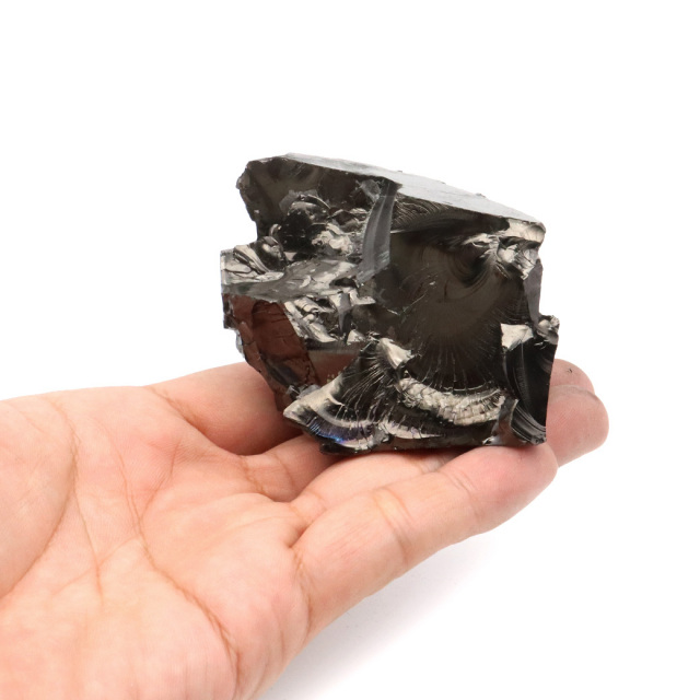 エリートシュンガイト 原石 ロシア カレリア共和国シュンガ 天然石 1点物 パワーストーン Shungite シュンガ石