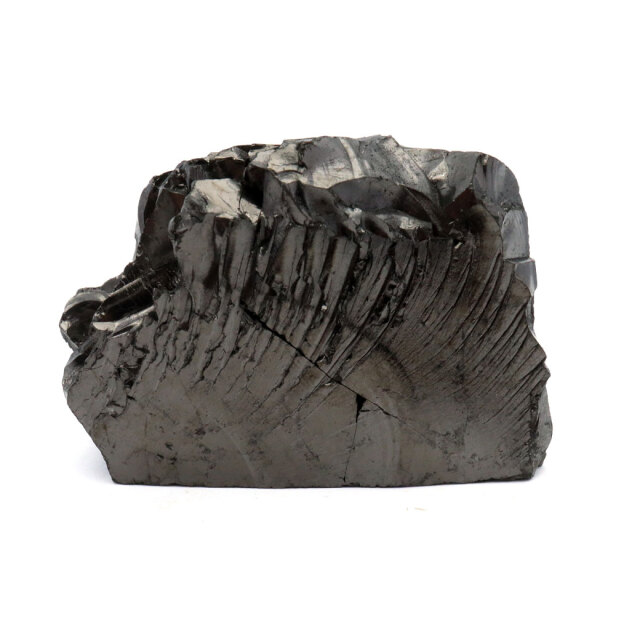 エリートシュンガイト 原石 ロシア カレリア共和国シュンガ 天然石 1点物 パワーストーン Shungite シュンガ石