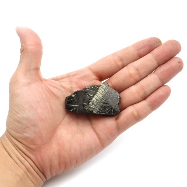 エリートシュンガイト 原石 ロシア カレリア共和国シュンガ 天然石 1点物 パワーストーン Shungite シュンガ石