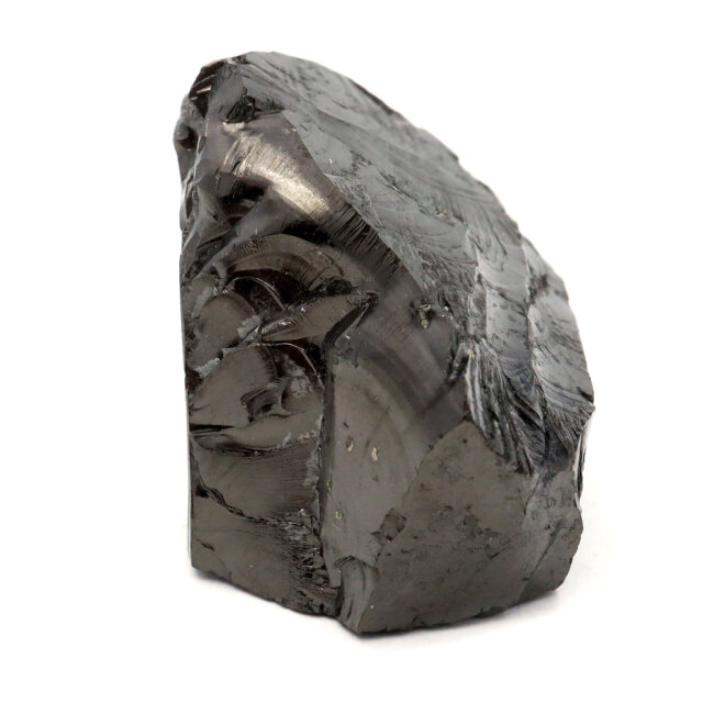 エリートシュンガイト 原石 ロシア カレリア共和国シュンガ 天然石 1点物 パワーストーン Shungite シュンガ石