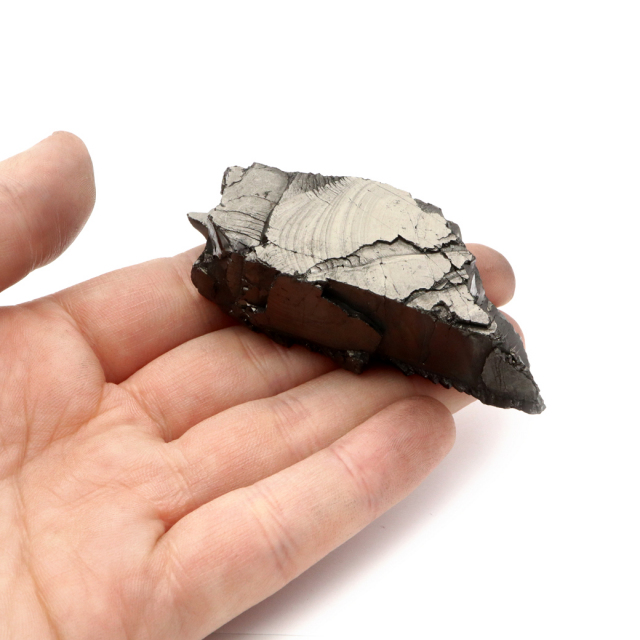 エリートシュンガイト 原石 ロシア カレリア共和国シュンガ 天然石 1点物 パワーストーン Shungite シュンガ石
