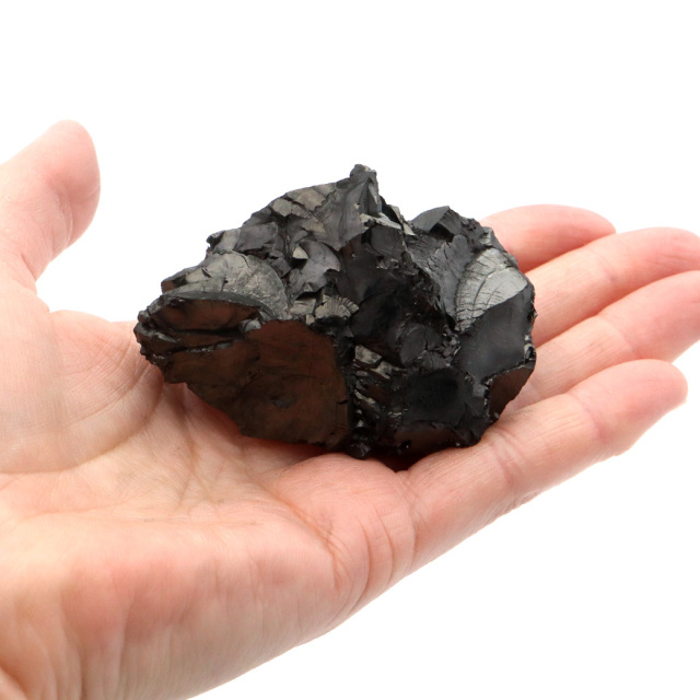 エリートシュンガイト 原石 53g ロシア カレリア共和国シュンガ 天然石 1点物 パワーストーン Shungite シュンガ石