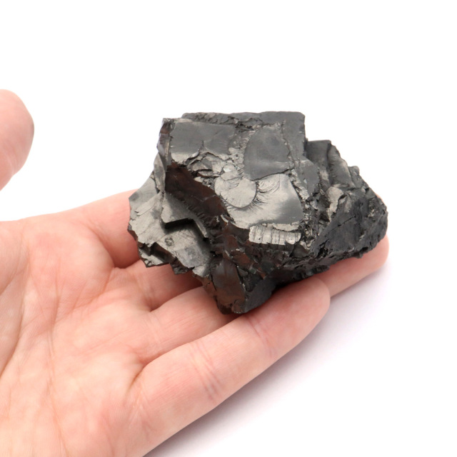 エリートシュンガイト 原石 さざれ ロシア カレリア共和国シュンガ 天然石 1点物 パワーストーン Shungite シュンガ石