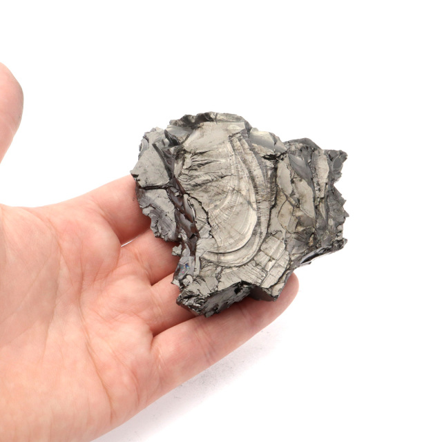 エリートシュンガイト 原石 さざれ ロシア カレリア共和国シュンガ 天然石 1点物 パワーストーン Shungite シュンガ石