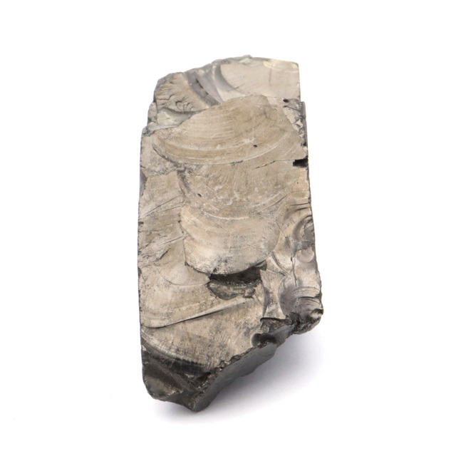 エリートシュンガイト 原石 さざれ ロシア カレリア共和国シュンガ 天然石 1点物 パワーストーン Shungite シュンガ石