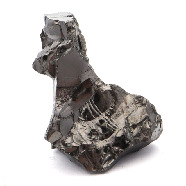 エリートシュンガイト 原石 さざれ ロシア カレリア共和国シュンガ 天然石 1点物 パワーストーン Shungite シュンガ石