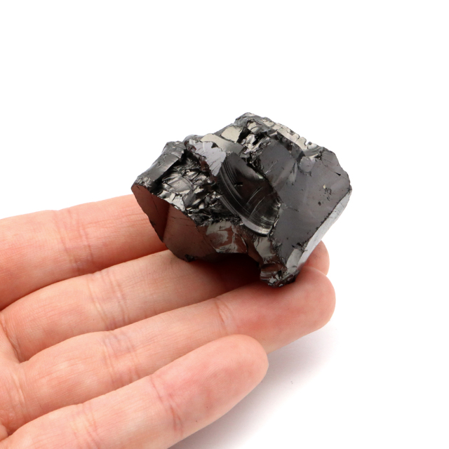 エリートシュンガイト 原石 ロシア カレリア共和国シュンガ 天然石 1点物 パワーストーン Shungite シュンガ石