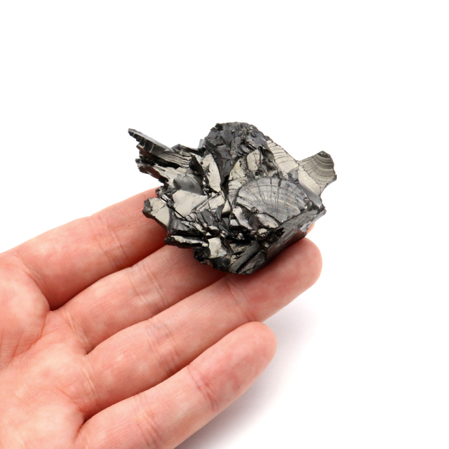 エリートシュンガイト 原石 ロシア カレリア共和国シュンガ 天然石 1点物 パワーストーン Shungite シュンガ石