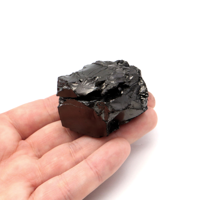 エリートシュンガイト 原石 ロシア カレリア共和国シュンガ 天然石 1点物 パワーストーン Shungite シュンガ石