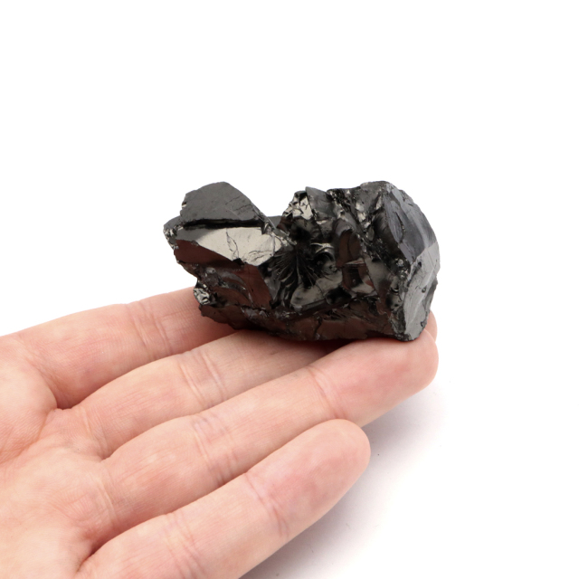 エリートシュンガイト 原石 ロシア カレリア共和国シュンガ 天然石 1点物 パワーストーン Shungite シュンガ石