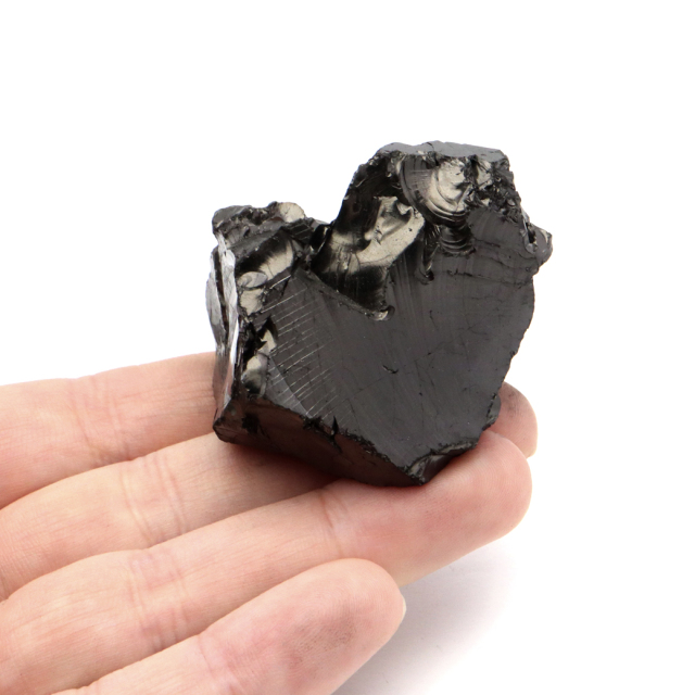エリートシュンガイト 原石 ロシア カレリア共和国シュンガ 天然石 1点物 パワーストーン Shungite シュンガ石