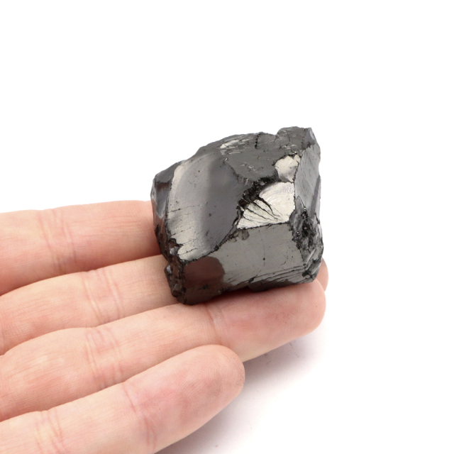 エリートシュンガイト 原石 ロシア カレリア共和国シュンガ 天然石 1点物 パワーストーン Shungite シュンガ石