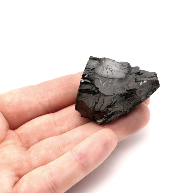 エリートシュンガイト 原石 ロシア カレリア共和国シュンガ 天然石 1点物 パワーストーン Shungite シュンガ石
