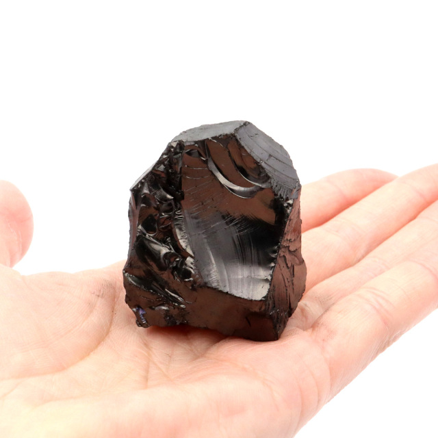 エリートシュンガイト 原石 さざれ ロシア カレリア共和国シュンガ 天然石 1点物 パワーストーン Shungite シュンガ石