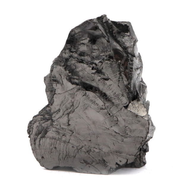 エリートシュンガイト 原石 さざれ ロシア カレリア共和国シュンガ 天然石 1点物 パワーストーン Shungite シュンガ石