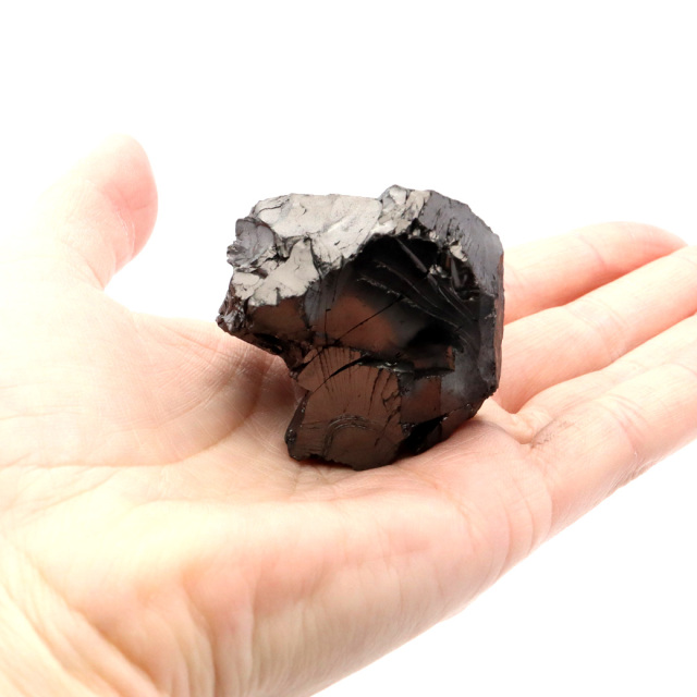 エリートシュンガイト 原石 さざれ ロシア カレリア共和国シュンガ 天然石 1点物 パワーストーン Shungite シュンガ石