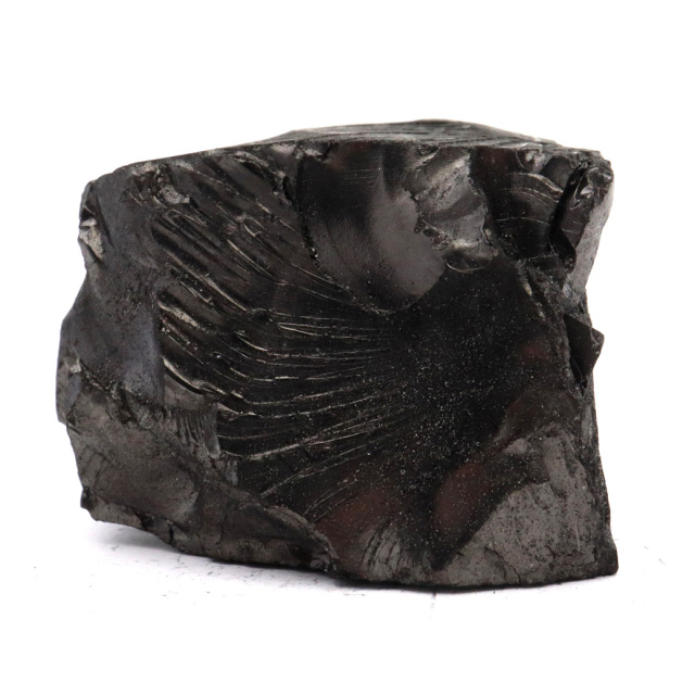 エリートシュンガイト 原石 さざれ ロシア カレリア共和国シュンガ 天然石 1点物 パワーストーン Shungite シュンガ石