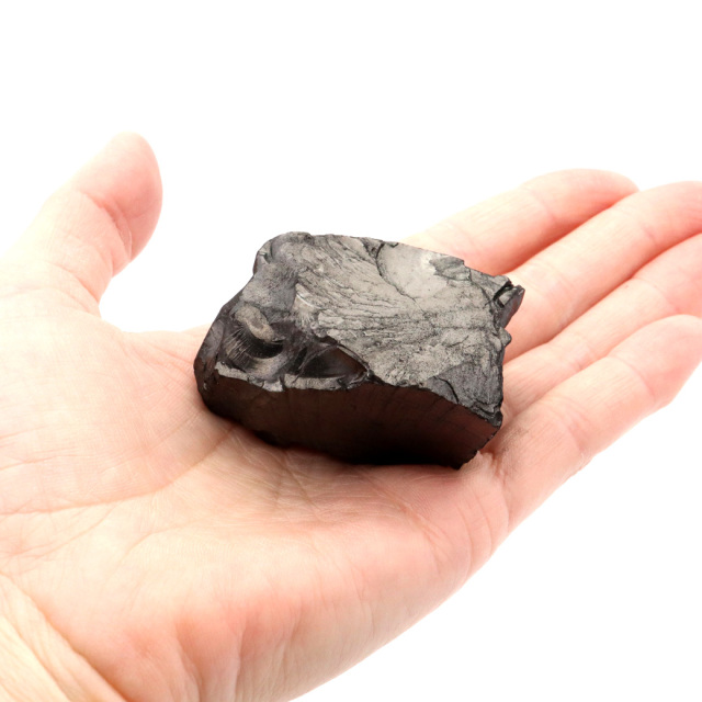 エリートシュンガイト 原石 さざれ ロシア カレリア共和国シュンガ 天然石 1点物 パワーストーン Shungite シュンガ石