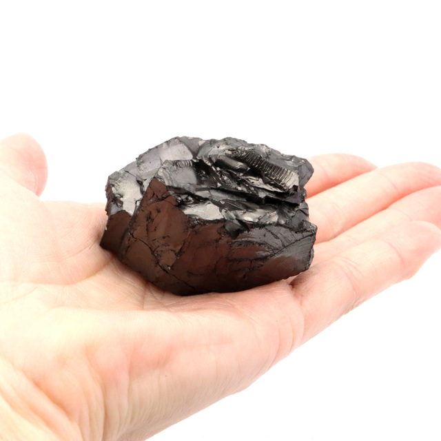 エリートシュンガイト 原石 さざれ ロシア カレリア共和国シュンガ 天然石 1点物 パワーストーン Shungite シュンガ石
