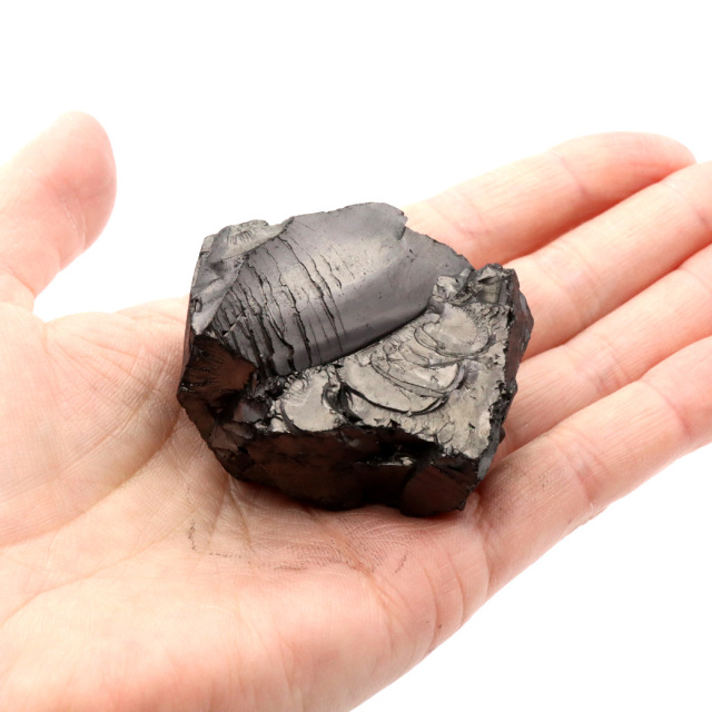 エリートシュンガイト 原石 さざれ ロシア カレリア共和国シュンガ 天然石 1点物 パワーストーン Shungite シュンガ石