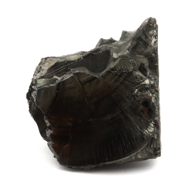 エリートシュンガイト 原石 ロシア カレリア共和国シュンガ 天然石 1点物 パワーストーン Shungite シュンガ石