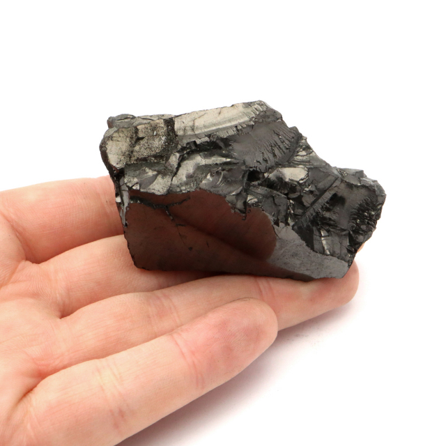 エリートシュンガイト 原石 ロシア カレリア共和国シュンガ 天然石 1点物 パワーストーン Shungite シュンガ石