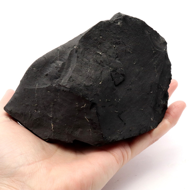 シュンガイト 原石 ロシア カレリア共和国シュンガ 天然石 1点物 パワーストーン Shungite シュンガ石