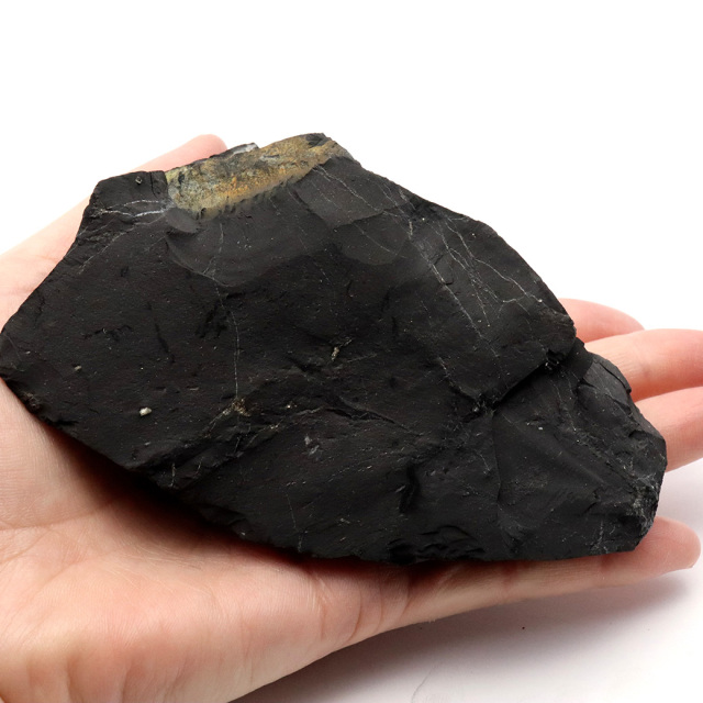 シュンガイト 原石 ロシア カレリア共和国シュンガ 天然石 1点物 パワーストーン Shungite シュンガ石