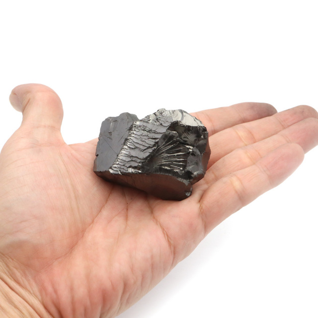 エリートシュンガイト 原石 ロシア カレリア共和国シュンガ 天然石 1点物 パワーストーン Shungite シュンガ石