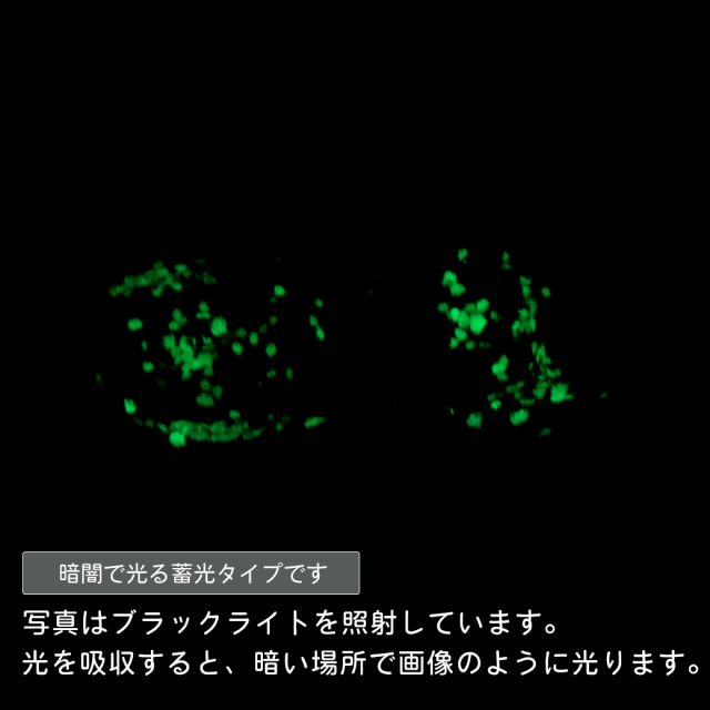 ホタルガラス ピアス 猫 かわいい フック レディース 両耳用 光る ブルー 蓄光 沖縄 お土産 おしゃれ とんぼ玉 ねこ