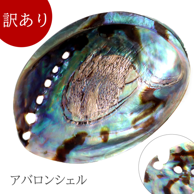 訳あり アバロンシェル ホワイトセージの浄化皿 パウアシェル 貝殻 ニュージーランド産 送料無料