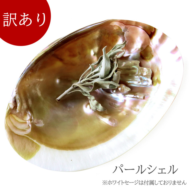 訳あり パールシェル ホワイトセージの浄化皿 貝殻 小物入れ オーストラリア産 イケチョウ貝 アウトレット品