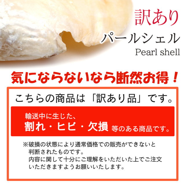 訳あり パールシェル ホワイトセージの浄化皿 貝殻 小物入れ オーストラリア産 イケチョウ貝 アウトレット品