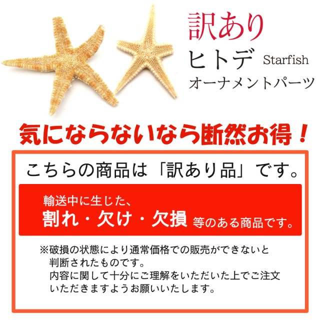 訳あり ヒトデ オーナメント パーツ レジン 小さいヒトデ 10個 1.5-2.5cm前後 シェル 材料