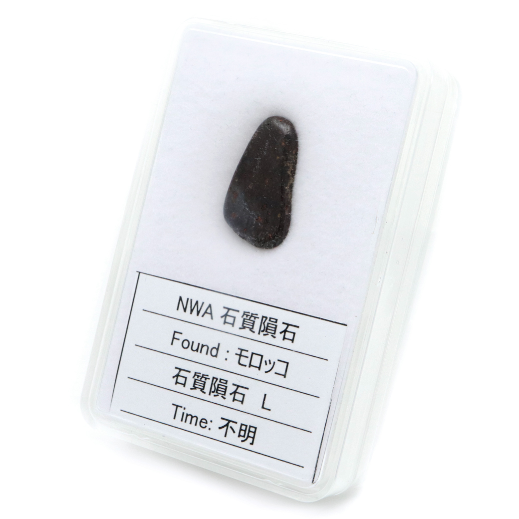 NWA石質隕石 モロッコ産 1.3g 石質隕石H Stony meteorite 1点物