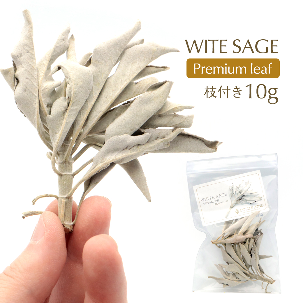 ホワイトセージ 枝付き クラスター 10g 選別済み 特選 プレミアム リーフ 無農薬 高品質 カルフォルニア産 アロマ white sage