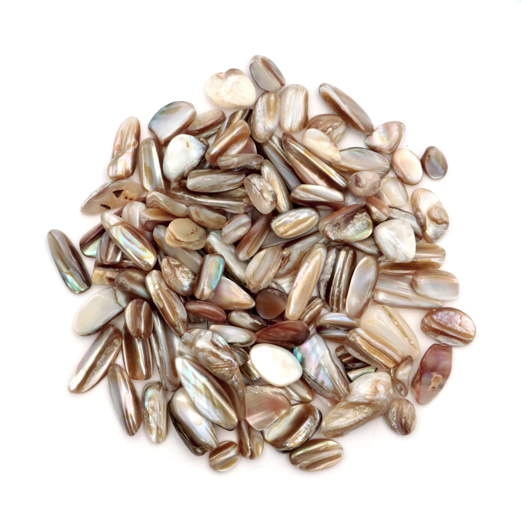 シェル さざれ石 100g MIX アバローニ貝 マザーオブパール ブラウン 天然石 パワーストーン 浄化グッズ ネイルパーツ 材料