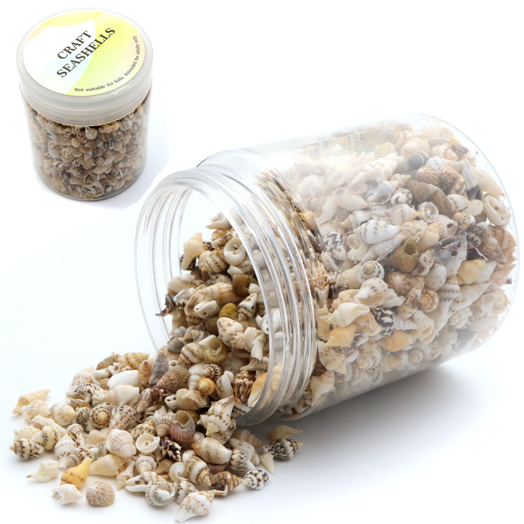 貝殻 パーツ レジン フトコロガイ 箱売り 1400-1500個入り 約200g シェル 材料 おうち時間 制作 ハンドメイド 工作 天然 貝 素材 巻貝