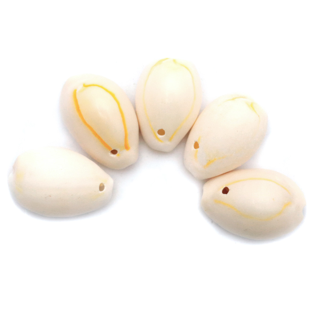 貝殻 パーツ レジン ハナビラダカラ 5個 Mサイズ 穴あり シェル 材料 天然 貝 素材 花弁宝