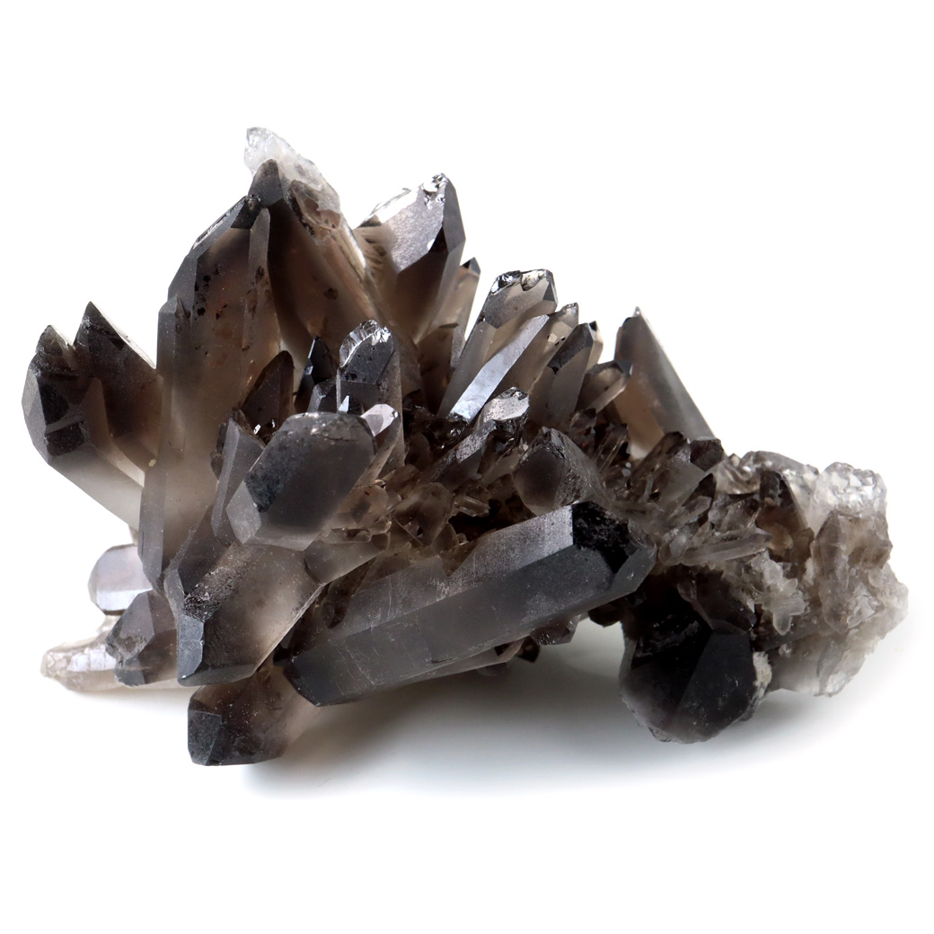 スモーキークォーツ フォーゲル 【公式通販】